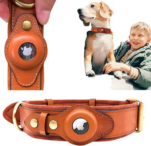 Collar de Cuero para Perro compatible con AirTag