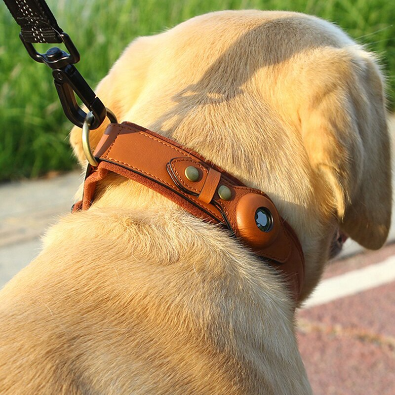 Collar de Cuero para Perro compatible con AirTag